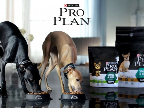 Скидка -20% на Purina Pro Plan