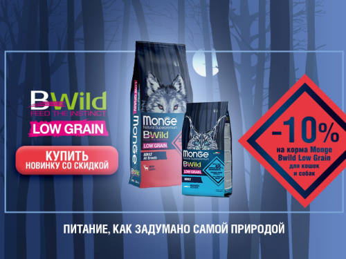 Новинка Monge BWild со скидкой 10%!