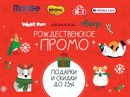 Рождественские скидки до 25%