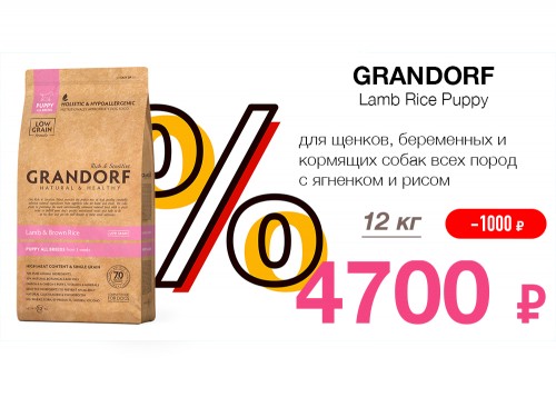 GRANDORF для щенков дешевле на 1000 руб!