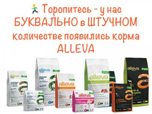 ⚠️ Ликвидация ALLEVA ⚠️