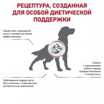 Купить Royal Canin Cardiac EC 26 Canine диета для взрослых и пожилых собак всех пород при сердечной недостаточности 2 кг Royal Canin в Калиниграде с доставкой (фото 1)