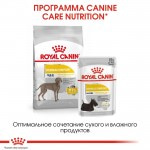 Купить Royal Canin Maxi Dermacomfort для собак склонных к кожным раздражениям и зуду 3 кг Royal Canin в Калиниграде с доставкой (фото 2)