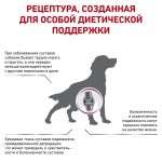 Купить Royal Canin Mobility С2P+ Canine для собак при заболевания опорно-двигательного аппарата 2 кг Royal Canin в Калиниграде с доставкой (фото 4)