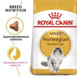 Купить Royal Canin для взрослых кошек Сибирской породы Норвежская лесная 400 гр Royal Canin в Калиниграде с доставкой (фото 1)