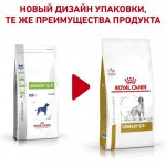 Купить Royal Canin Urinary S/O LP 18 Canine для взрослых собак всех пород при мочекаменной болезни 2 кг Royal Canin в Калиниграде с доставкой (фото 2)