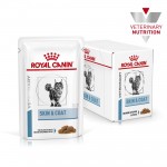 Влажный корм Royal Canin Skin & Coat Formula Feline консервы для взрослых кошек старше 12 месяцев, с повышенной чувствительностью кожи / шерсти (в соусе)  85 гр