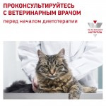 Купить Royal Canin диета для стерилизованных кошек, идеальная кожа и шерсть 3.5 кг Royal Canin в Калиниграде с доставкой (фото 6)