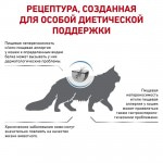 Сухой диетический корм Royal Canin Anallergenic AN 24 Feline для кошек с тяжелой формой пищевой аллергии или непереносимости 2 кг