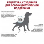 Сухой корм Royal Canin Anallergenic ветеринарная диета для собак при пищевой аллергии или непереносимости 3 кг