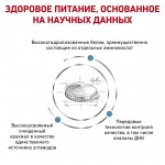 Сухой диетический корм Royal Canin Anallergenic AN 24 Feline для кошек с тяжелой формой пищевой аллергии или непереносимости 2 кг