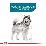 Купить Royal Canin Maxi Joint Care для взрослых собак крупных размеров с повышенной чувствительностью суставов 10 кг Royal Canin в Калиниграде с доставкой (фото 3)