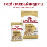 Купить Royal Canin Pomeranian Adult, для собак породы померанский шпиц, от 8 месяцев, (в паштете) 85 г Royal Canin в Калиниграде с доставкой (фото 3)