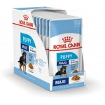 Влажный корм Royal Canin Maxi Puppy, для щенков крупных пород, от 2 до 15 месяцев, (в соусе) 140 г