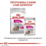 Корм влажный Royal Canin Exigent Canin Adult, для привередливых собак, (в паштете) 85 г