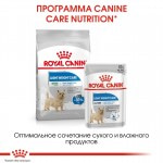 Корм влажный Royal Canin Light Weight Care Adult, для собак, склонных к полноте, (в паштете) 85 г