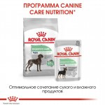 Корм влажный Royal Canin Digestive Care Pouch Loaf, корм для собак с чувствительным пищеварением, (в паштете) 85 г