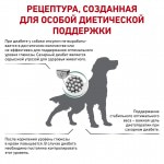 Купить ROYAL CANIN Veterinary Diet Diabetic Canine DS 37 диета для собак при сахарном диабете 1,5 кг Royal Canin в Калиниграде с доставкой (фото 1)