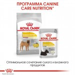 Купить Royal Canin Medium Dermacomfort для собак склонных к кожным раздражениям и зуду 3 кг Royal Canin в Калиниграде с доставкой (фото 4)