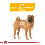 Купить Royal Canin Medium Dermacomfort для собак склонных к кожным раздражениям и зуду 3 кг Royal Canin в Калиниграде с доставкой (фото 1)