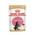 Купить Royal Canin Kitten Maine Coon, для котят породы мейн-кун в возрасте от 3 до 15 месяцев, соус, 85 г Royal Canin в Калиниграде с доставкой (фото)