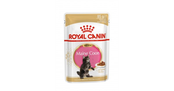 🥇87 р. – Royal Canin Kitten Maine Coon, для котят породы мейн-кун в ...