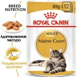 Купить Консервы Royal Canin Maine Coon Adult, для кошек породы Мейн-кун, мелкие кусочки в соусе, 85 г Royal Canin в Калиниграде с доставкой (фото 2)