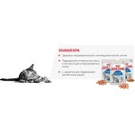 Корм консервированный Royal Canin Indoor Sterilised Паштет, для стерилизованных кошек от 1 до 7 лет, живущих в помещении, 85 г