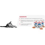 Консервы Royal Canin Indoor Sterilised, в желе, для стерилизованных кошек от 1 до 7 лет, живущих в помещении, 85 г