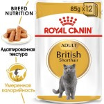 Купить Royal Canin British Shorthair Adult, для кошек британской породы, мелкие кусочки в соусе, 85 г Royal Canin в Калиниграде с доставкой (фото 2)
