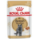 Купить Royal Canin British Shorthair Adult, для кошек британской породы, мелкие кусочки в соусе, 85 г Royal Canin в Калиниграде с доставкой (фото)