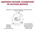 Сухой диетический корм Royal Canin Renal Small Dog для взрослых собак весом до 10 кг с хронической болезнью почек. Ветеринарная диета 500 гр