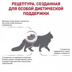 Сухой диетический корм Royal Canin Early Renal для взрослых кошек при ранней стадии почечной недостаточности. Ветеринарная диета 400 гр