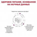 Сухой диетический корм Royal Canin Early Renal для взрослых кошек при ранней стадии почечной недостаточности. Ветеринарная диета 400 гр