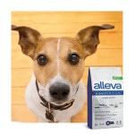 Купить Alleva Equilibrium Контроль веса корм для собак мелких и средних пород 2 кг Alleva в Калиниграде с доставкой (фото 1)