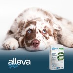 Alleva Holistic Ocean Fish + Hemp & Aloe vera Puppy Medium Holistic Океаническая рыба, Конопля и Алое вера сухой корм для щенков средних пород, беременных и кормящих сук 2 кг