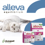 Купить Alleva Equilibrium Sensitive Rabbit корм для взрослых кошек с кроликом 1.5 кг Alleva в Калиниграде с доставкой (фото 1)