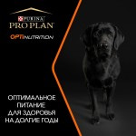 Купить Purina Pro Plan OPTIBALANCE для собак средних пород с высоким содержанием курицы, 7 кг Pro Plan в Калиниграде с доставкой (фото 13)