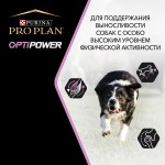 Купить Purina Pro Plan OPTIPOWER для активных взрослых собак всех пород, курица, 14 кг Pro Plan в Калиниграде с доставкой (фото 4)