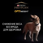 Купить Pro Plan OPTIWEIGHT для собак мелких и карликовых пород с избыточным весом с курицей и рисом 3 кг Pro Plan в Калиниграде с доставкой (фото 3)