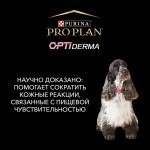 Купить Pro Plan OPTIDERMA для средних и крупных пожилых собак с чувствительной кожей, лосось, рис, 3 кг Pro Plan в Калиниграде с доставкой (фото 14)