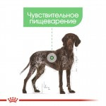 Купить Royal Canin Maxi Digestive care для крупных собак склонных к расстройствам пищеварения 3 кг Royal Canin в Калиниграде с доставкой (фото 3)