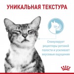 Корм консервированный Royal Canin Sensory, для кошек стимулирующий рецепторы ротовой полости (в соусе), 85 г