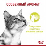 Корм консервированный Royal Canin Sensory, для кошек стимулирующий обонятельные рецепторы (в соусе), 85 г