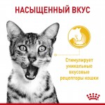 Корм консервированный Royal Canin Sensory, для кошек стимулирующий вкусовые рецепторы (в соусе), 85 г