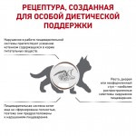 Купить Royal Canin Gastrointestinal Kitten диетический корм для котят, при острых расстройствах пищеварения 2 кг Royal Canin в Калиниграде с доставкой (фото 1)