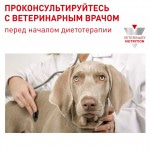 Купить Royal Canin Neutered Adult Small Dog, для взрослых стерилизованных собак мелких пород 3,5 кг Royal Canin в Калиниграде с доставкой (фото 8)