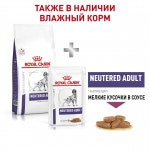Купить Royal Canin Neutered Adult для стерилизованных собак средних размеров, 3,5 кг Royal Canin в Калиниграде с доставкой (фото 3)
