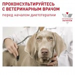 Купить Royal Canin Neutered Adult для стерилизованных собак средних размеров, 3,5 кг Royal Canin в Калиниграде с доставкой (фото 6)