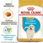 Купить Royal Canin Golden Retriever Puppy, для щенков породы Золотистый (голден) ретривер, 17 кг Royal Canin в Калиниграде с доставкой (фото 4)